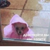Moodskiy moodnoogo yaiso by 18