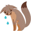 Facebook Foxes 14