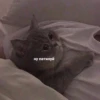 Moodskiy moodnoogo yaiso by 21