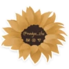 flowers 5