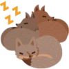 Facebook Foxes 17