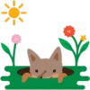 Facebook Foxes 18