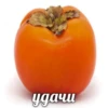 Стикеры тYт: 24