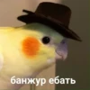 банжур ебать