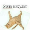 блять инсульт