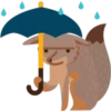 Facebook Foxes 24