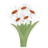 flowers 8