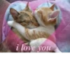 i love you