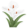 flowers 9