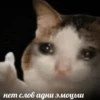 нет слов адни эмоцыш