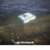 с др посейдон