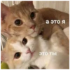Corbeau & Hamster 10