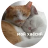 Favorite stickers by 13