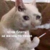 чтож блять за жизнь то такая