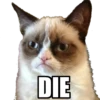 GrumpyCat 9