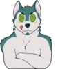 Foxsky 7
