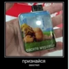 сасите муравьи признайся захотел