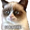 GrumpyCat 10