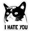 GrumpyCat 11