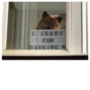 Fucked animals 10