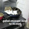 Еболыги by @babyfleks 6