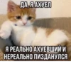 ДА, Я АХУЕЛ Я РЕАЛЬНО АХУЕВШИЙ И НЕРЕАЛЬНО ПИЗДАНУЛСЯ