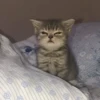 Стики 5303 из @Anonymnyi_chat_bot 8