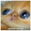Fucked animals 14