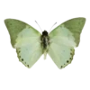 FDJRCNNJSN_by_stikers_du_ark_bot 15