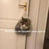 Еболыги by @babyfleks 8