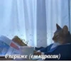 Еболыги by @babyfleks 9