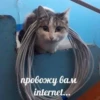 Еболыги by @babyfleks 10