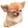Fucked animals 21