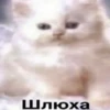 Шлюха