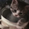 Стики 5303 из @Anonymnyi_chat_bot 20