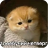 Больше стиков тYт: @stikery4 6