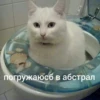 Еболыги by @babyfleks 13