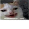 Fucked animals 26