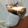 Стики 5303 из @Anonymnyi_chat_bot 27