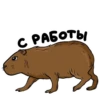 Больше стикеров: 16