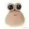 aesthetics pou 27