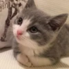 Стики 5303 из @Anonymnyi_chat_bot 29