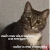 Еболыги by @babyfleks 16
