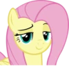 Fluttershy | 2