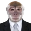 GYHUCTEVSZ_by_stikers_du_ark_bot 5