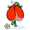Fruit party 9