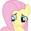Fluttershy | 10