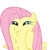 Fluttershy | 11