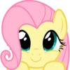 Fluttershy | 12