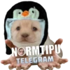 GYHUCTEVSZ_by_stikers_du_ark_bot 12
